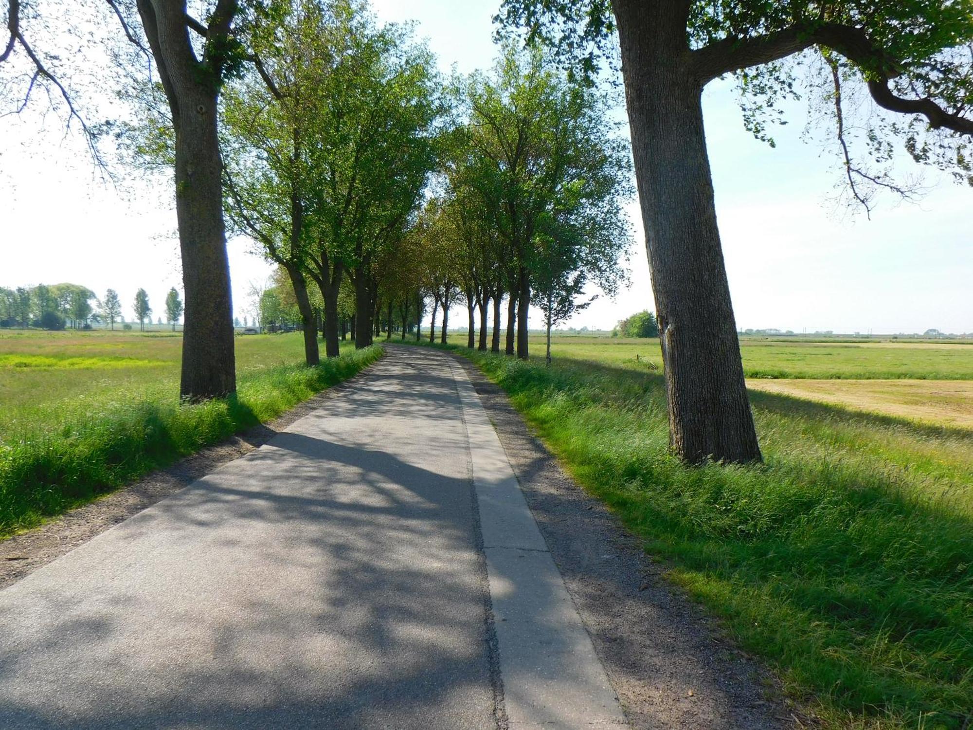 Deel Erf Het 8Ste Werk Apartman Kampen Kültér fotó